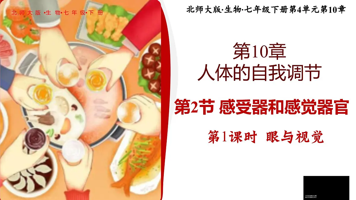 10.2.1感受器和感觉器官 PPT BSD第1页