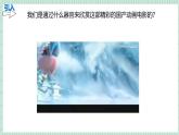 北师大初中生物七年级下册10.2.1感受器和感觉器官（PPT+教案）