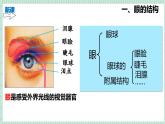 北师大初中生物七年级下册10.2.1感受器和感觉器官（PPT+教案）