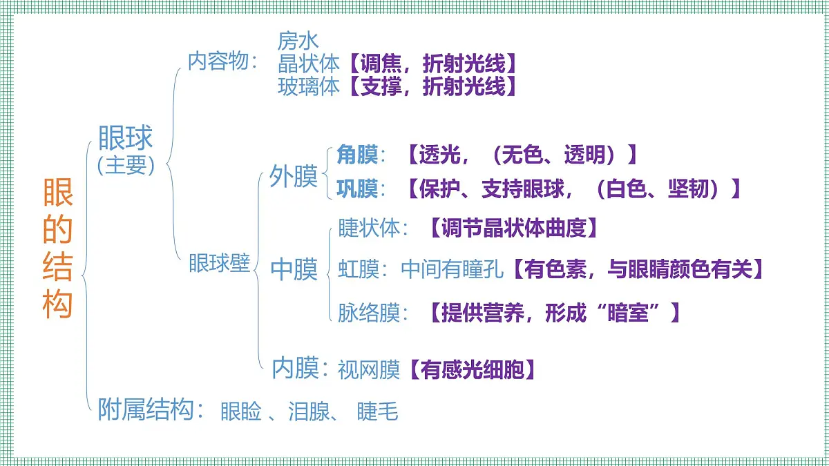 10.2.1感受器和感觉器官 PPT BSD第5页