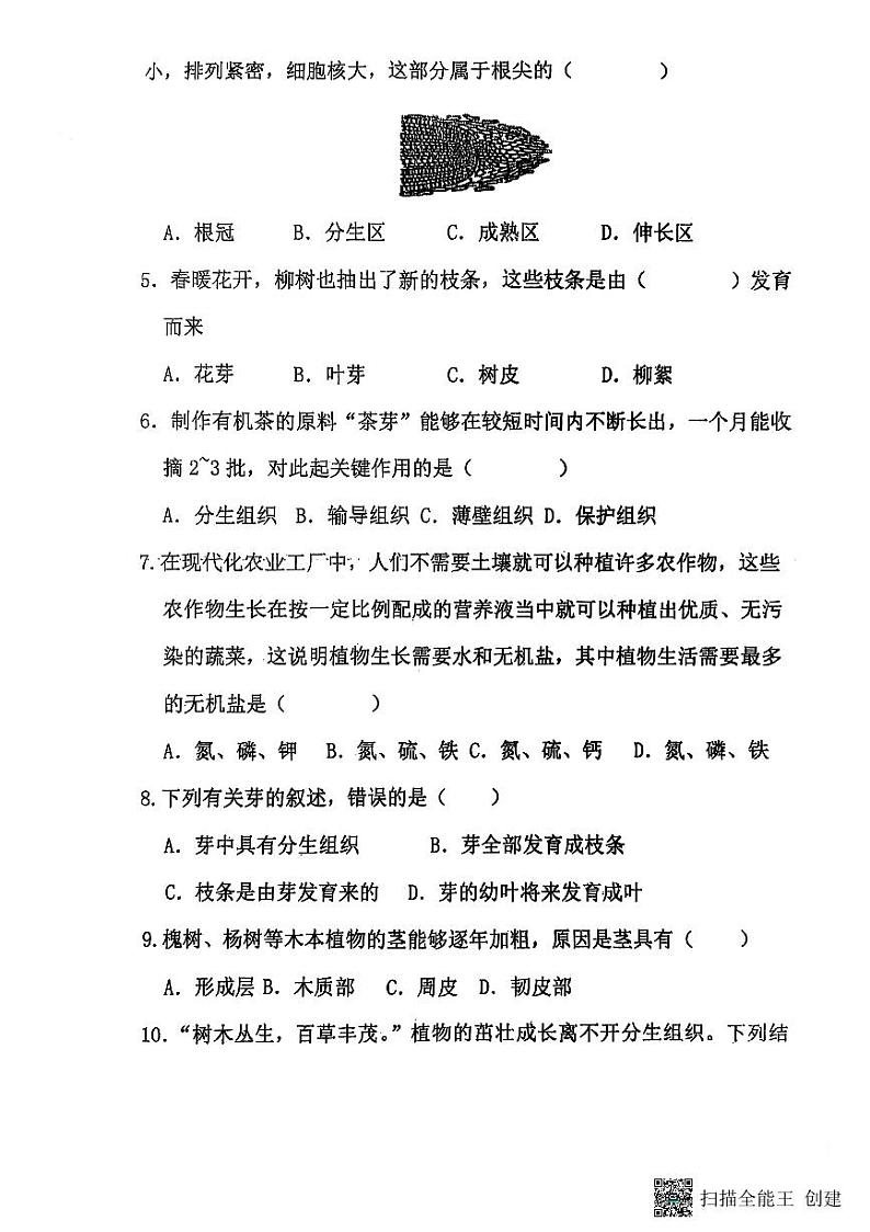山东省聊城市阳谷县实验中学2024-2025学年七年级下学期开学生物试题第2页