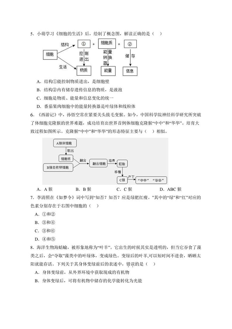 2024～2025学年陕西省宝鸡市凤翔区七年级上期末月考生物试卷(含答案)第2页