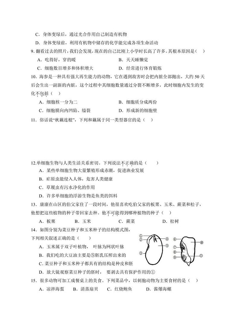 2024～2025学年陕西省宝鸡市凤翔区七年级上期末月考生物试卷(含答案)第3页