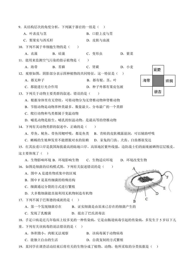 2024～2025学年四川省合江县马街中学校七年级上1月期末生物试卷(含答案)第3页