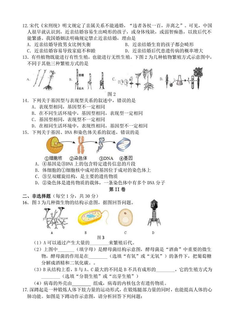 2024～2025学年广西河池环江县八年级上期末检测生物试卷(含答案)第2页