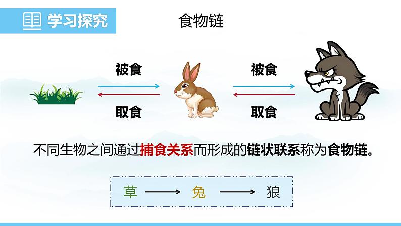 苏教版（2024）七下生物课件 3.7.2 食物链和食物网第4页