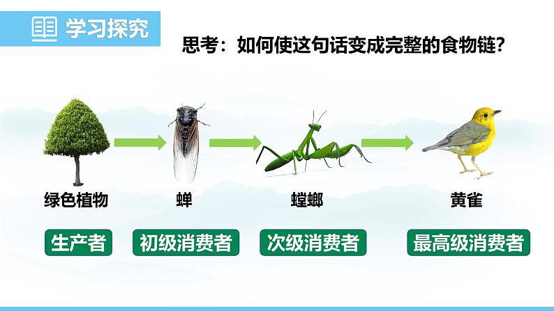 苏教版（2024）七下生物课件 3.7.2 食物链和食物网第7页