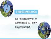 蘇教版（2024）七下生物課件 3.7.3 生物圈