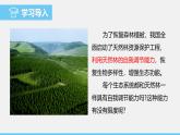 蘇教版（2024）七下生物課件 3.8.1 生態(tài)系統(tǒng)的自我調節(jié)
