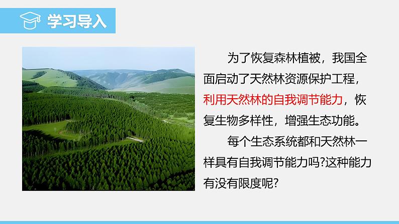 苏教版（2024）七下生物课件 3.8.1 生态系统的自我调节第3页