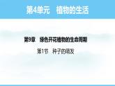 蘇教版（2024）七下生物課件 4.9.1 種子的萌發(fā)
