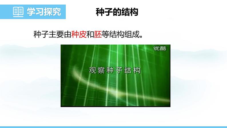 苏教版（2024）七下生物课件 4.9.1 种子的萌发第4页