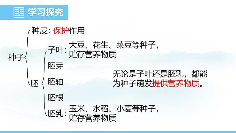 苏教版（2024）七下生物课件 4.9.1 种子的萌发第6页