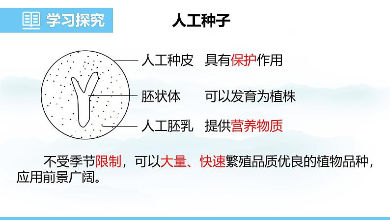 苏教版（2024）七下生物课件 4.9.1 种子的萌发第8页