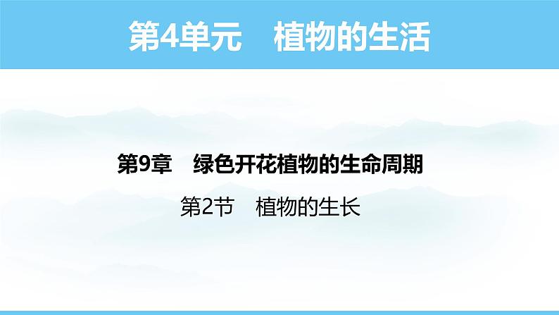 苏教版（2024）七下生物课件 4.9.2 植物的生长第1页