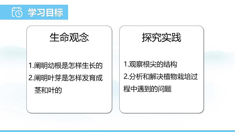 苏教版（2024）七下生物课件 4.9.2 植物的生长第2页