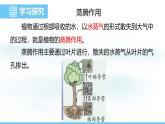 蘇教版（2024）七下生物課件 4.10.2 生物圈中的水循環(huán)