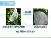 蘇教版（2024）七下生物課件 4.10.2 生物圈中的水循環(huán)