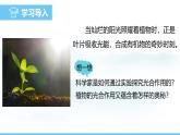 蘇教版（2024）七下生物課件 4.11.1 植物的光合作用