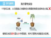 蘇教版（2024）七下生物課件 4.11.1 植物的光合作用