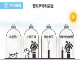 蘇教版（2024）七下生物課件 4.11.1 植物的光合作用
