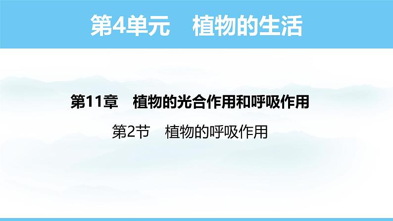 苏教版（2024）七下生物课件 4.11.2 植物的呼吸作用第1页