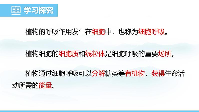 苏教版（2024）七下生物课件 4.11.2 植物的呼吸作用第4页