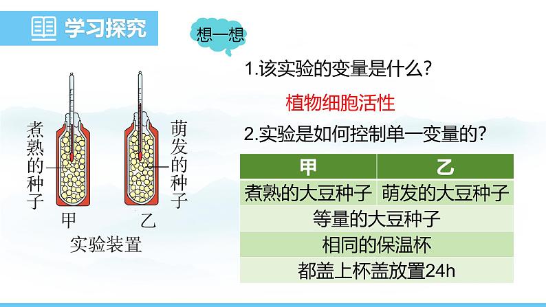 苏教版（2024）七下生物课件 4.11.2 植物的呼吸作用第5页