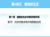 蘇教版（2024）七下生物課件 4.11.3 光合作用和呼吸作用原理的應(yīng)用