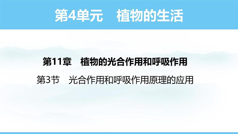 苏教版（2024）七下生物课件 4.11.3 光合作用和呼吸作用原理的应用第1页