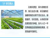 蘇教版（2024）七下生物課件 4.11.3 光合作用和呼吸作用原理的應(yīng)用
