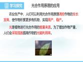 蘇教版（2024）七下生物課件 4.11.3 光合作用和呼吸作用原理的應(yīng)用