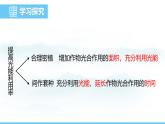 蘇教版（2024）七下生物課件 4.11.3 光合作用和呼吸作用原理的應(yīng)用