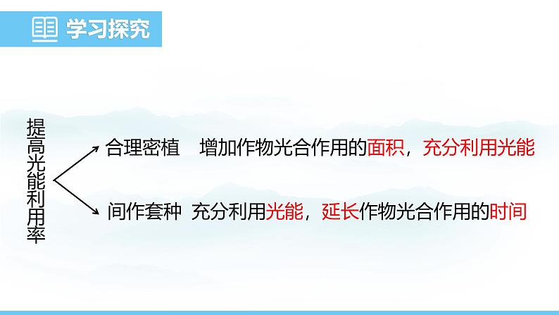 苏教版（2024）七下生物课件 4.11.3 光合作用和呼吸作用原理的应用第5页