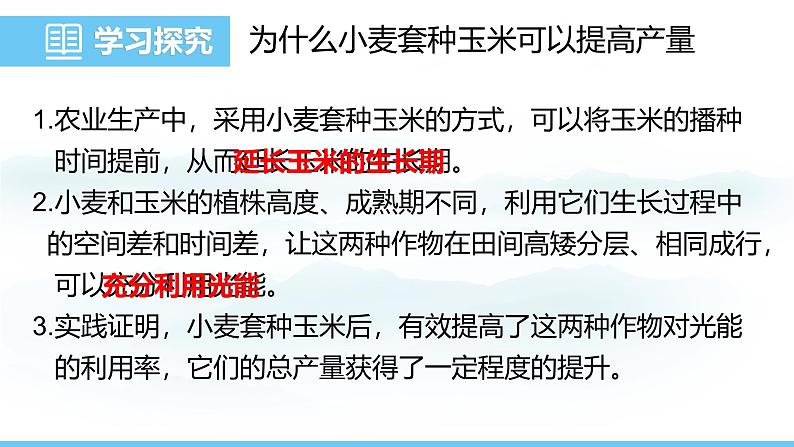 苏教版（2024）七下生物课件 4.11.3 光合作用和呼吸作用原理的应用第6页