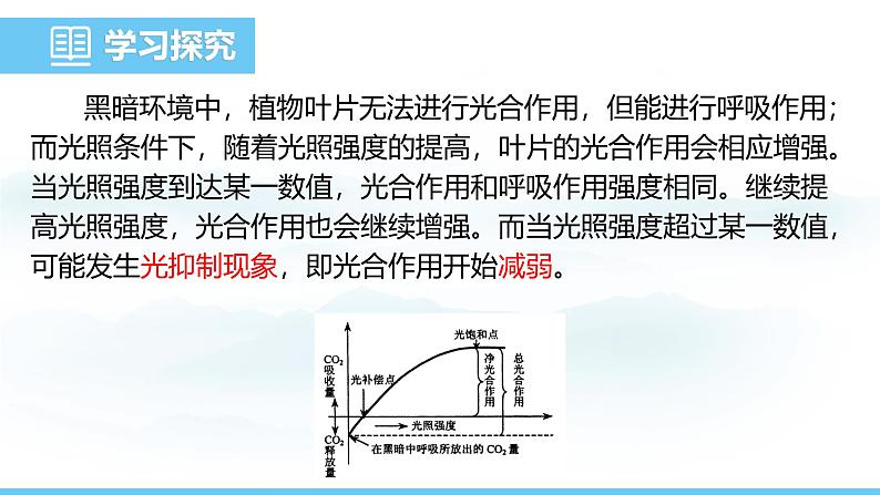 苏教版（2024）七下生物课件 4.11.3 光合作用和呼吸作用原理的应用第8页