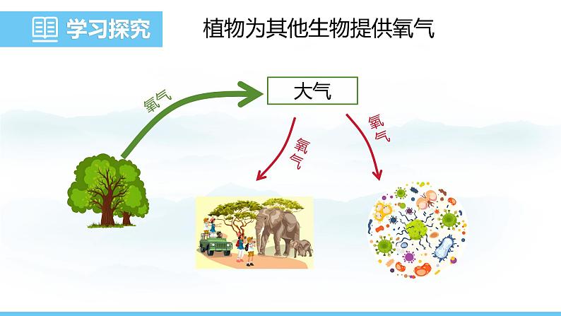 苏教版（2024）七下生物课件 4.11.4 植物在生物圈中的重要作用第8页