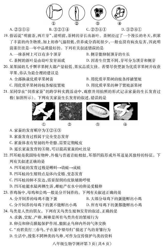 四川省内江市2024-2025学年八年级上学期期末检测生物试题第3页