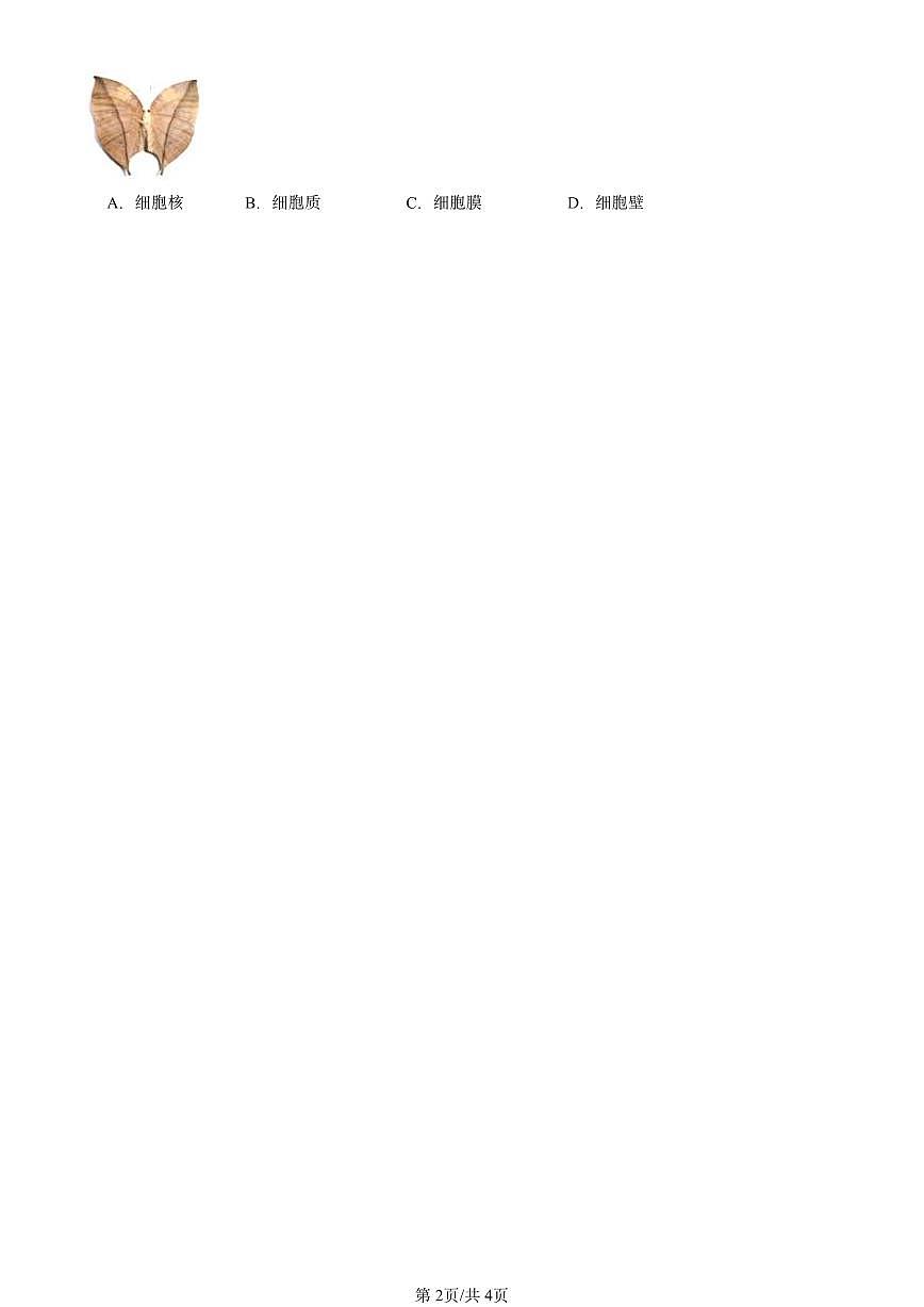 2020-2024北京初二一模生物汇编：动物细胞第2页