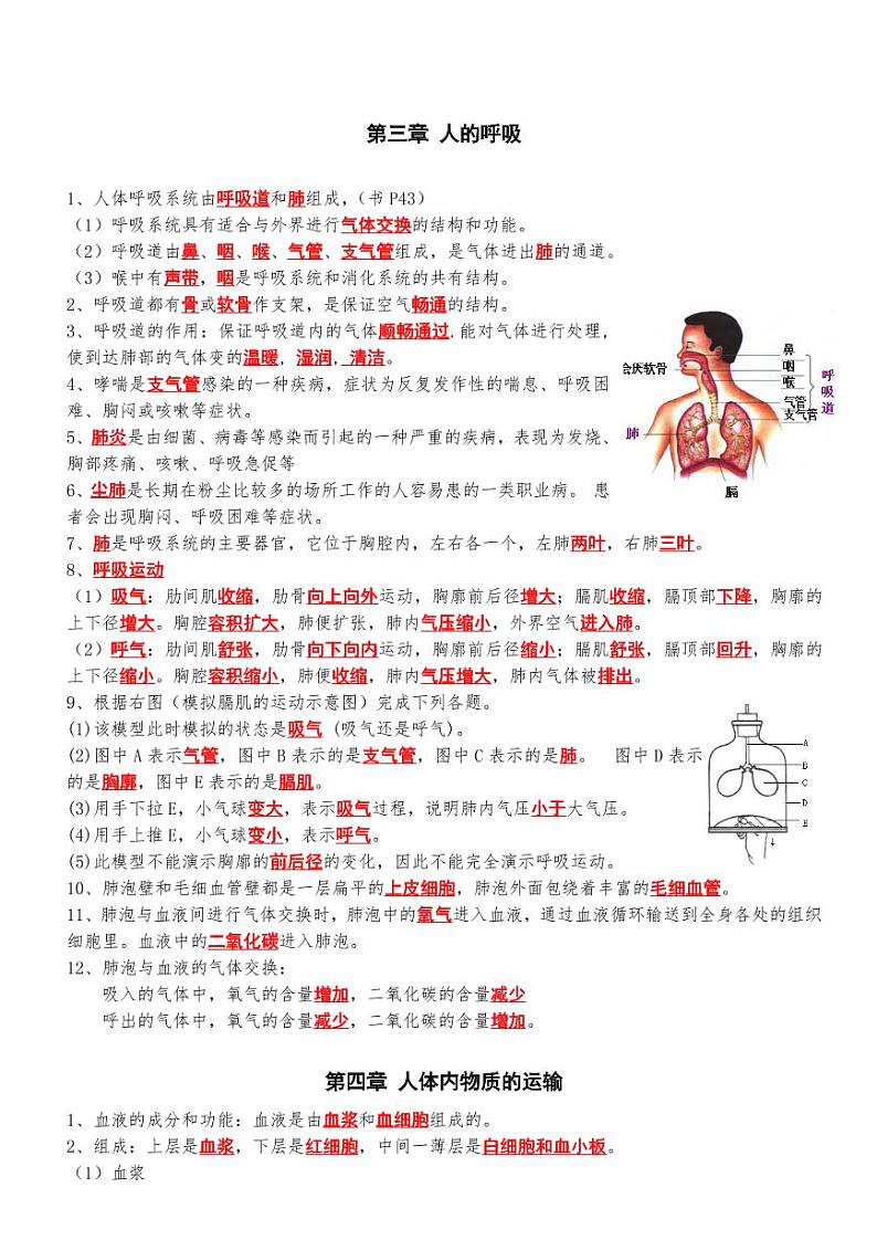 3.人教版七年级生物下册期末复习复习提纲学案第3页