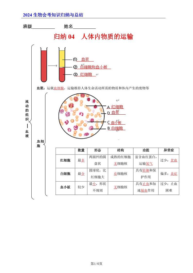 7年级下册人教版生物期末复习04   人体内物质的运输（晨读版）学案第1页