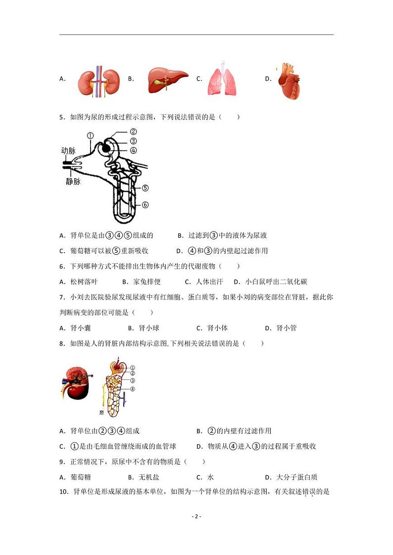 人教版生物七年级下册 第五章 人体内废物的排出 单元测试第2页