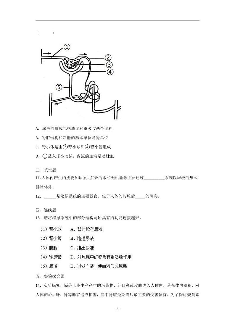 人教版生物七年级下册 第五章 人体内废物的排出 单元测试第3页