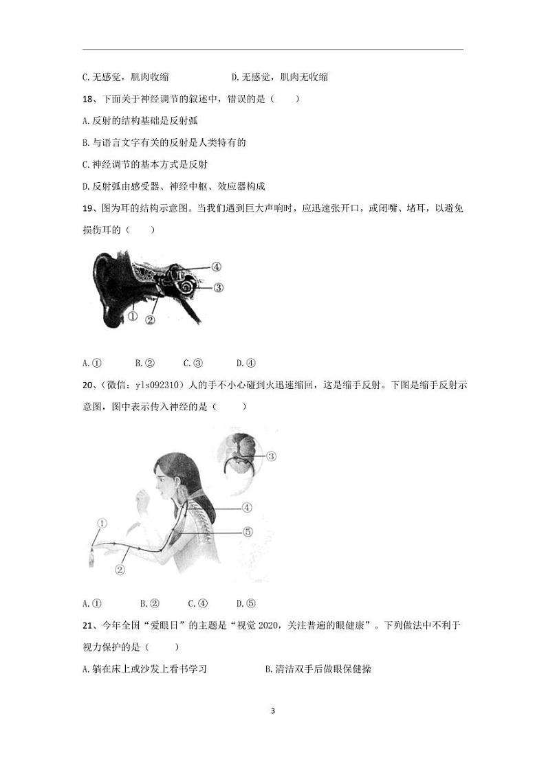 人教版生物七年级下册 第六章 人体生命活动的调节 单元测试第3页