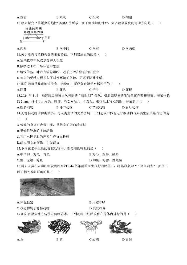 2024～2025学年湖南省邵阳市大祥区七年级上期末生物试卷(含答案)第2页