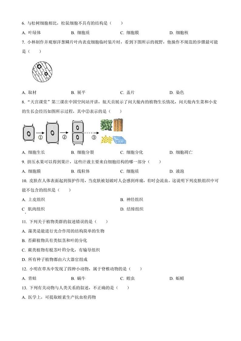 2024～2025学年黑龙江省齐齐哈尔市昂昂溪区七年级上期末生物试卷(含答案)第2页
