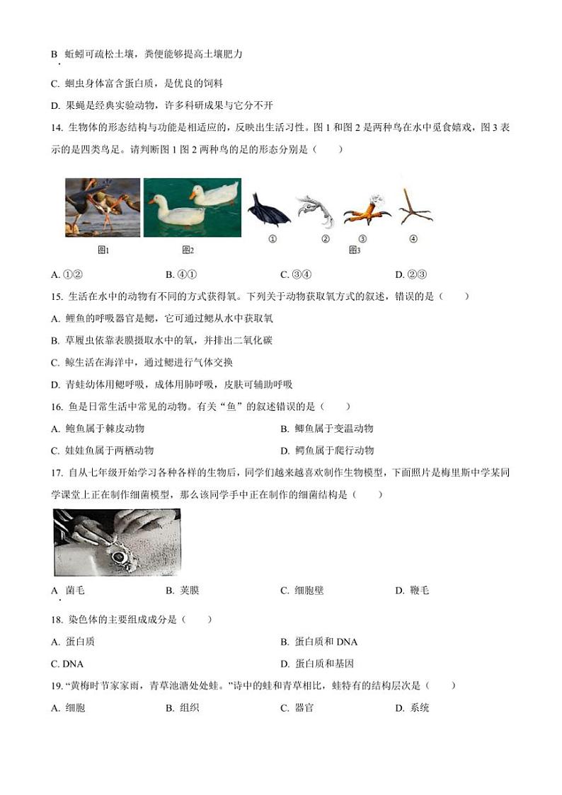 2024～2025学年黑龙江省齐齐哈尔市昂昂溪区七年级上期末生物试卷(含答案)第3页