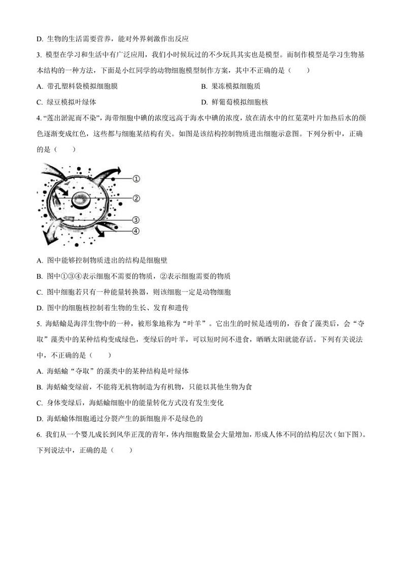 2024～2025学年河北省保定市徐水区七年级上期末生物试卷(含答案)第2页
