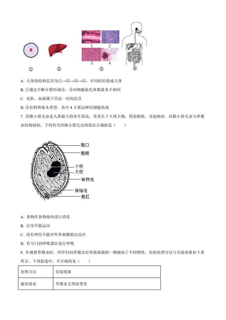 2024～2025学年河北省保定市徐水区七年级上期末生物试卷(含答案)第3页