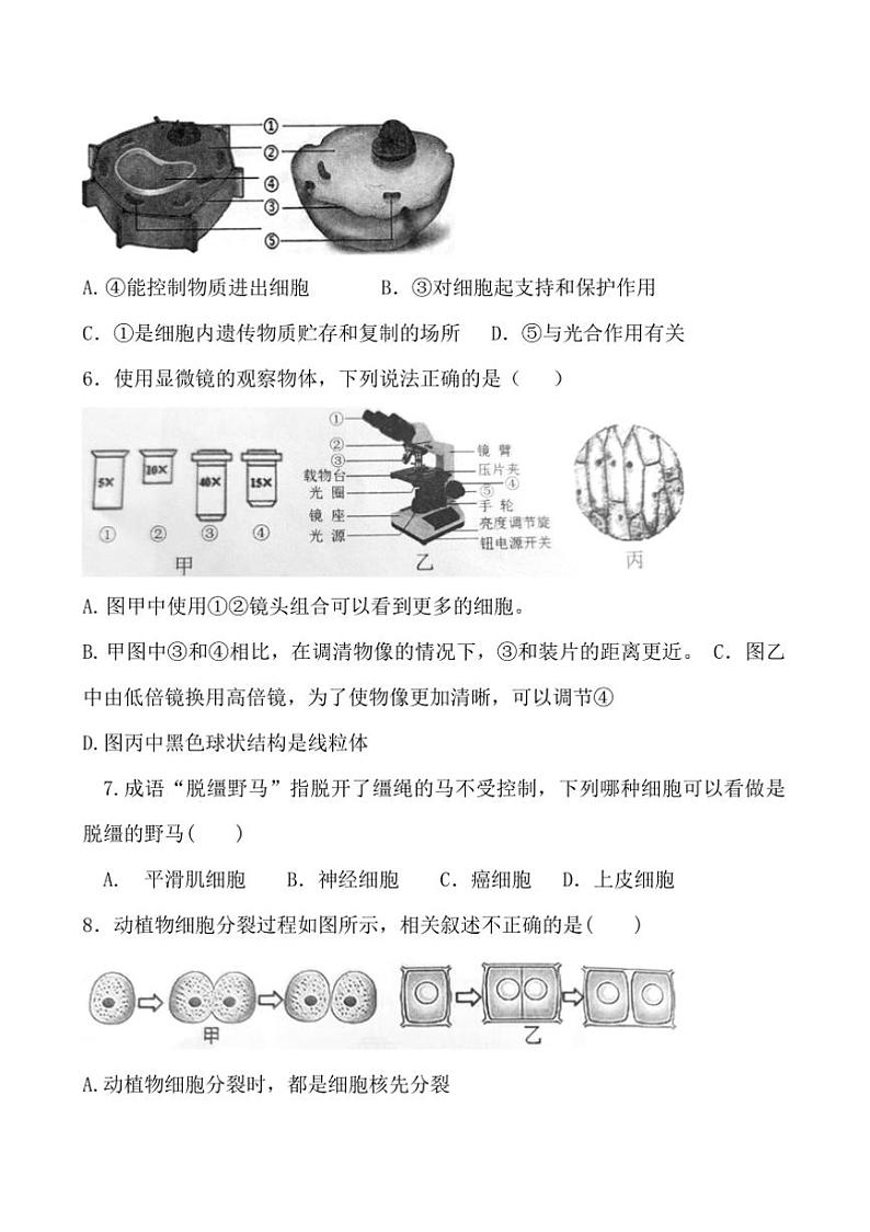 2024～2025学年安徽省淮北市濉溪县七年级上1月期末生物试卷(含答案)第2页